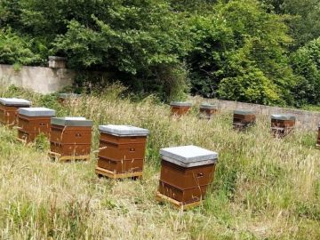 Ruches et abeilles de repeuplement.

Depuis 2013, Pressi-Mobile lutte activement contre le gâchis alimentaire, en vous incitant à ramasser vos fruits à...